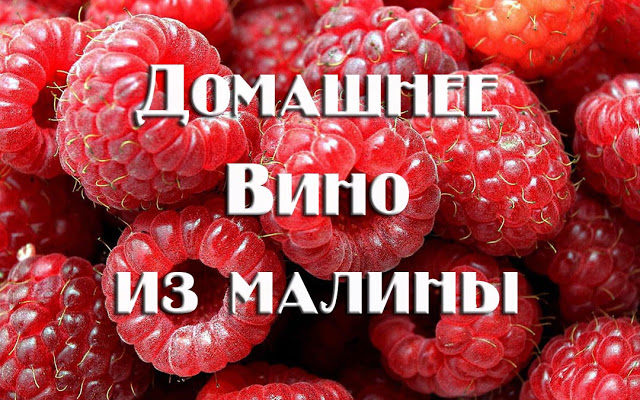 Простое вино из малины в домашних условиях рецепт 👌 с фото пошаговый | Лучшие рецепты консервации