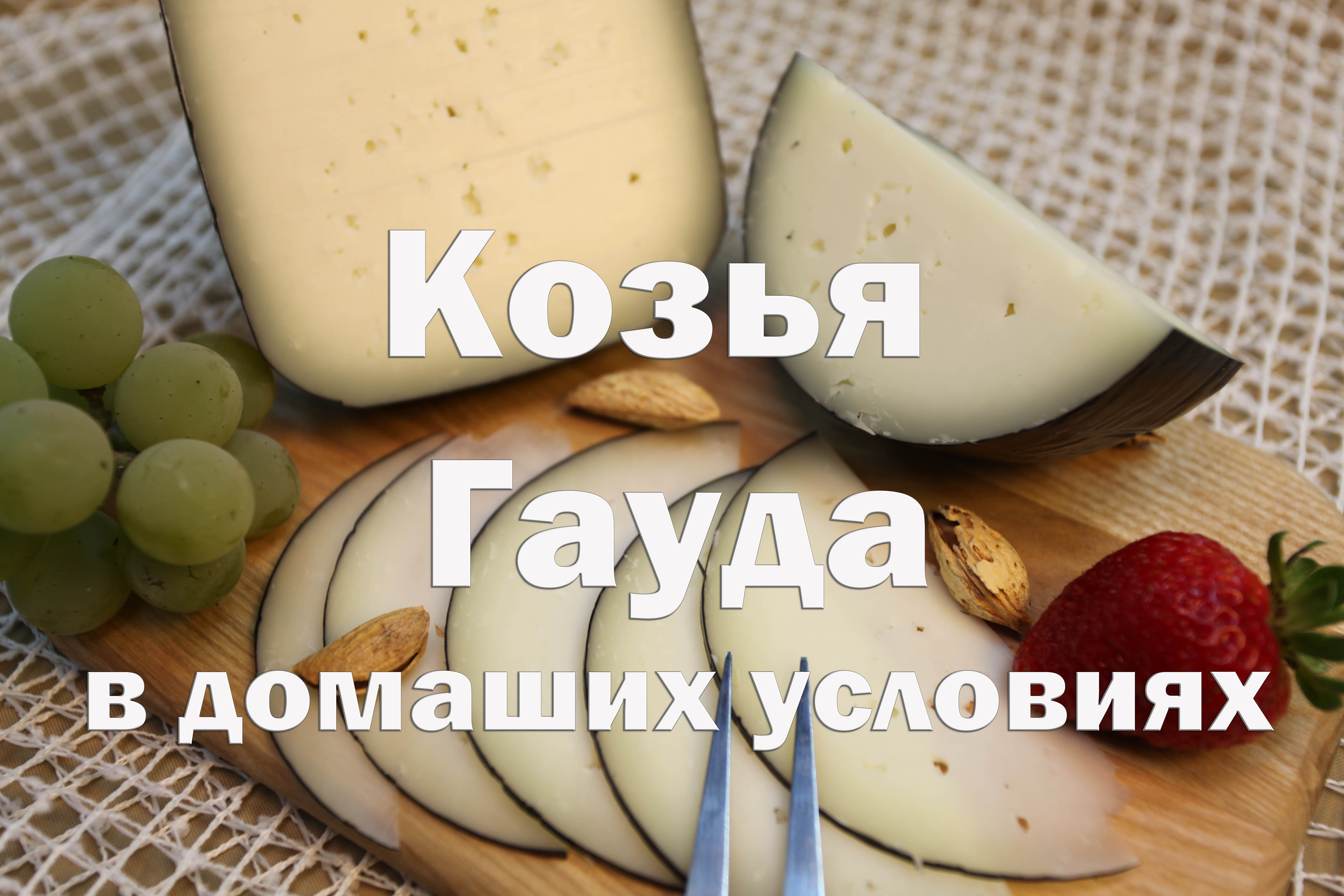 Рецепты :: Сыр :: Гауда из козьего сыра