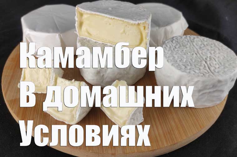 Рецепт сыра камамбер с фото