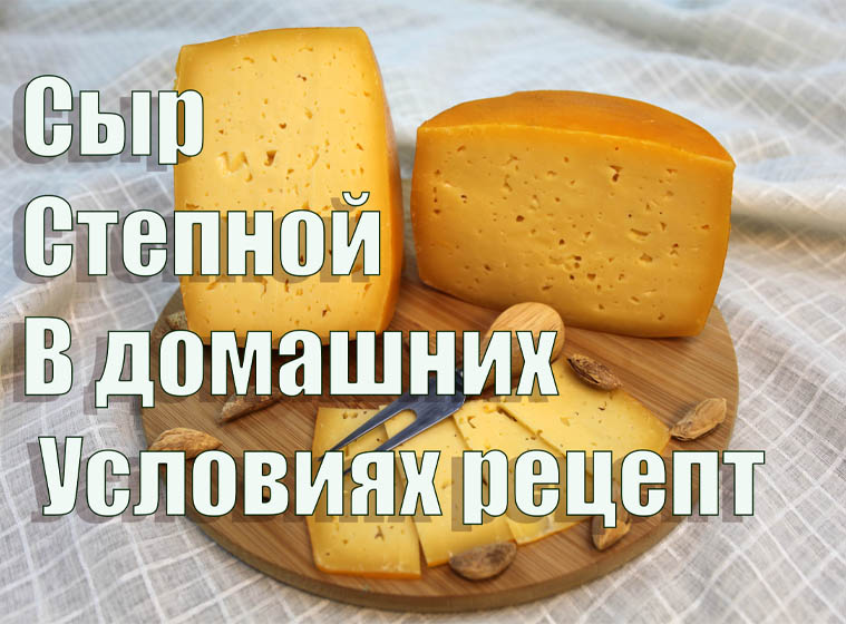 Инструкция по применению для сыра, аналоги